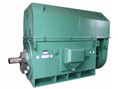 洛龙Y系列6KV高压电机
